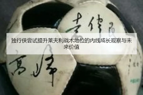 独行侠尝试提升莱夫利战术地位的内线成长观察与未来价值 | c7c7